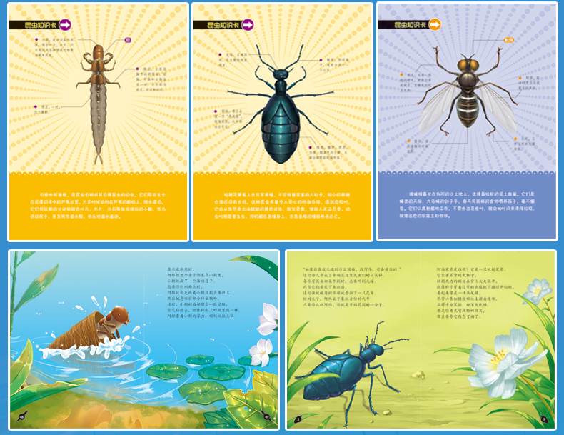 法布尔昆虫记绘本(彩绘美图版 共10册)