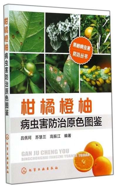 柑橘橙柚病蟲害防治原