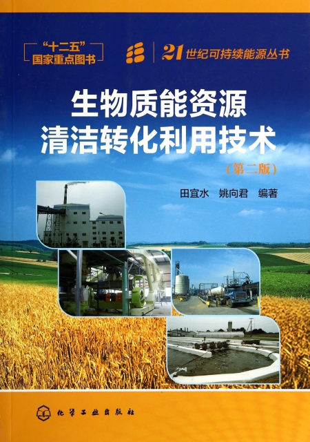 生物質能資源清潔轉化利用技術(第2版)/21世紀可持續能源叢書