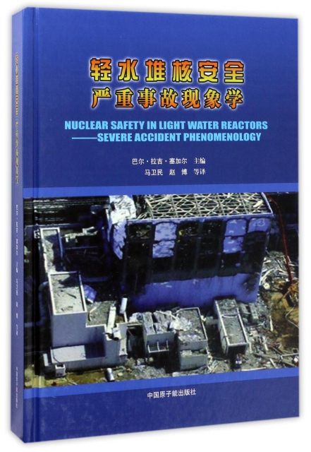 輕水堆核安全嚴重事故現像學(精)