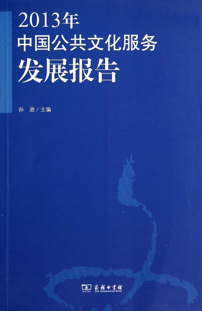 2013年中國公共文化服務發展報告