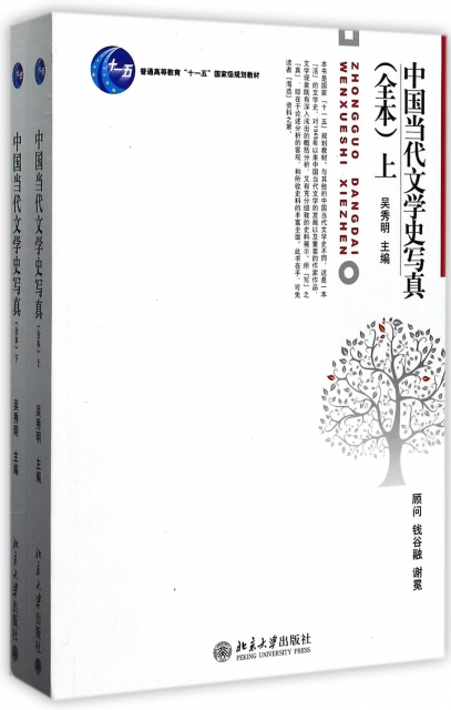 中國當代文學史寫真(全本上下普通高等教育十一五國家級規劃教材)
