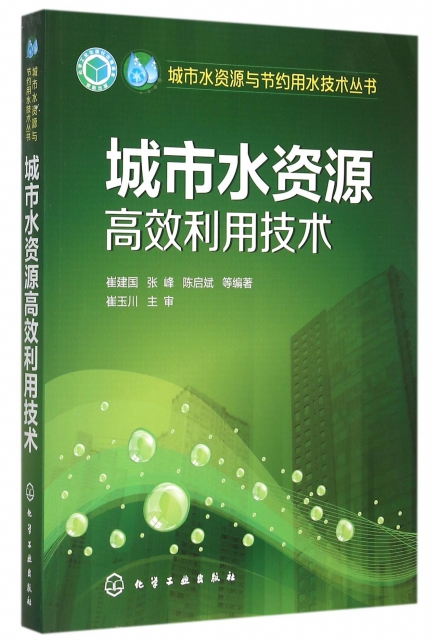 城市水資源高效利用技術/城市水資源與節約用水技術叢書