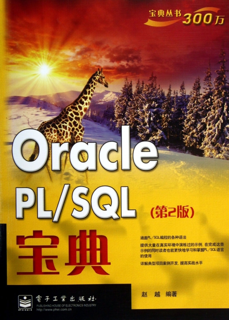 Oracle PLSQL寶典(第2版)/寶典叢書