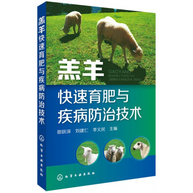 羔羊快速育肥與疾病防治技術