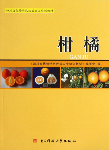 柑橘(四川省優勢特色效益農業培訓教材)
