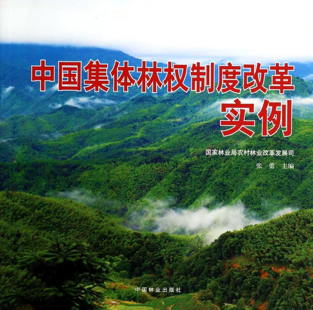 中國集體林權制度改革實例