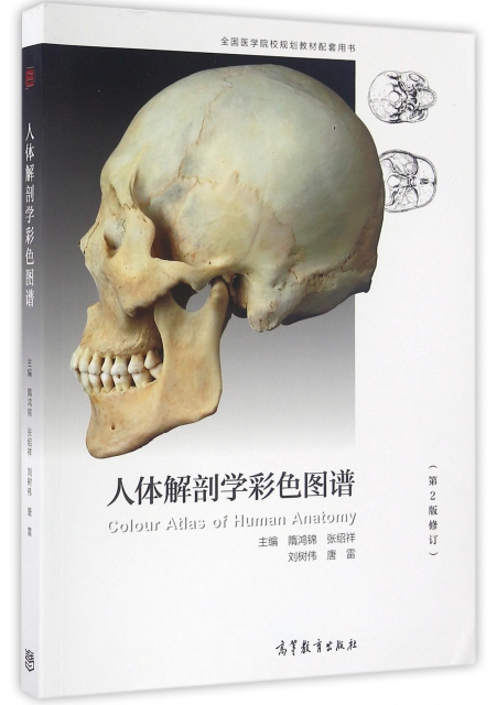 人體解剖學彩色圖譜(第2版修訂全國醫學院校規劃教材配套用書)