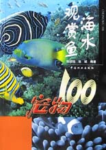 海水觀賞魚/寵物100