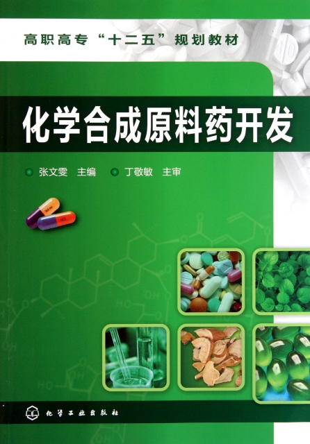 化學合成原料藥開發(高職高專十二五規劃教材)