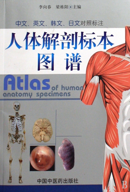 人體解剖標本圖譜