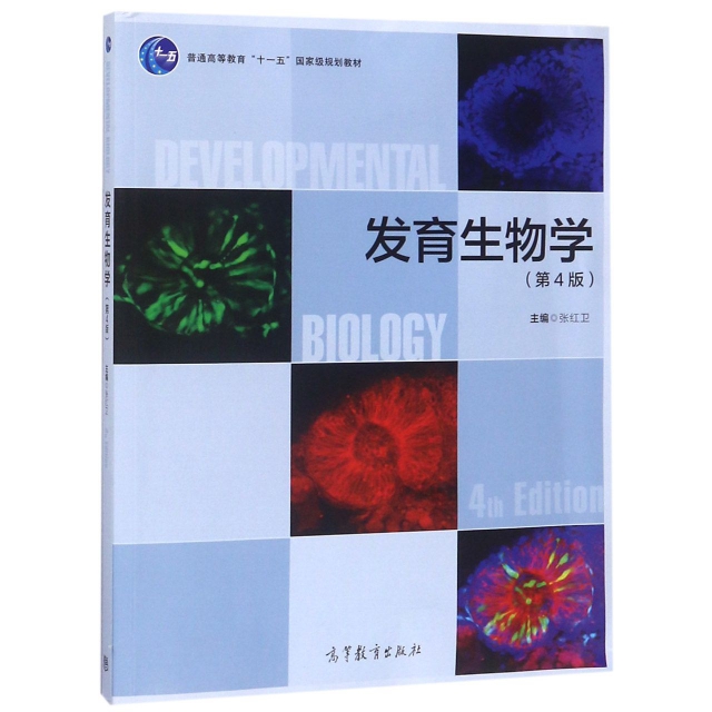 發育生物學(第4版普通高等教育十一五國家級規劃教材)