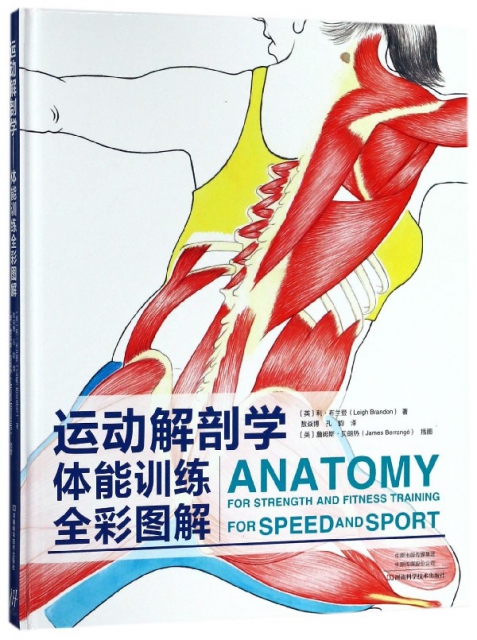 運動解剖學體能訓練全