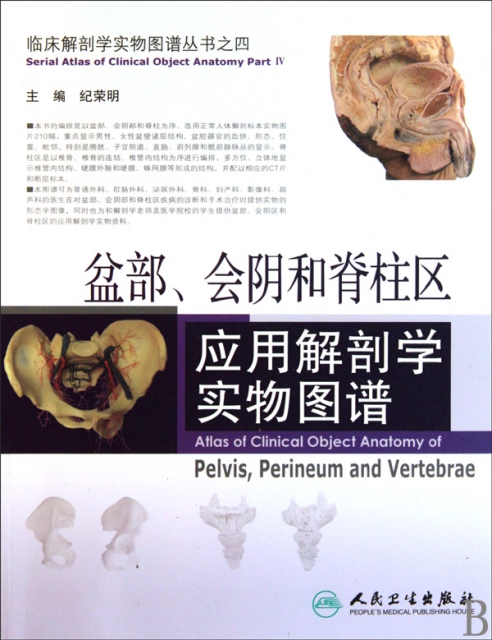 盆部會陰和脊柱區應用解剖學實物圖譜/臨床解剖學實物圖譜叢書