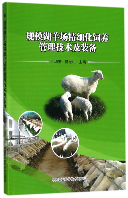 規模湖羊場精細化飼養管理技術及裝備
