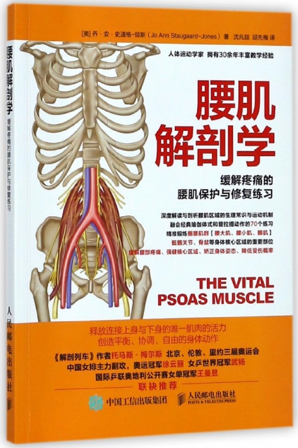 腰肌解剖學(緩解疼痛