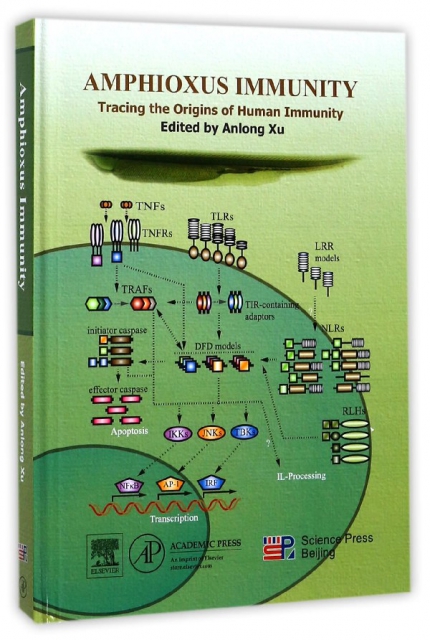 AMPHIOXUS IMMUNITY(Tracing the Origins of Human Immunity)(精)