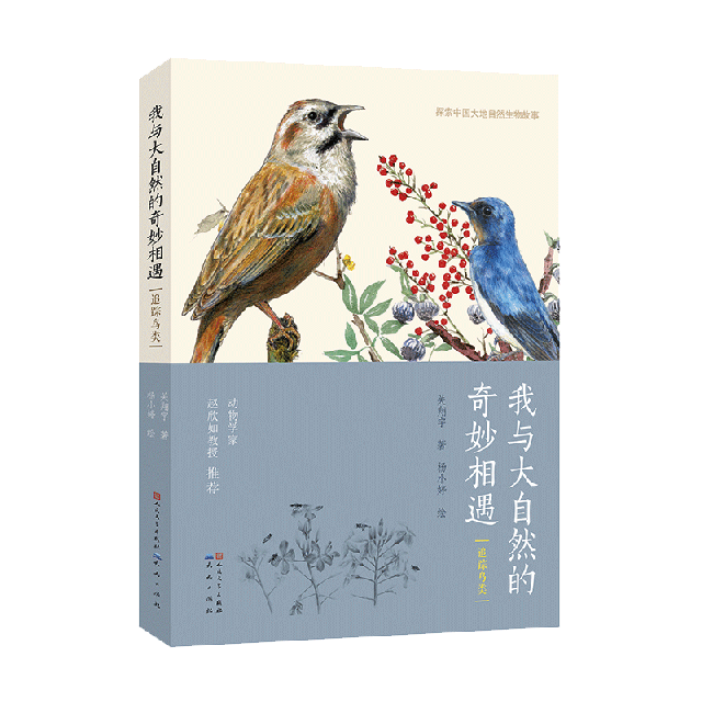 我與大自然的奇妙相遇(追蹤鳥類)/探索中國大地自然生物故事
