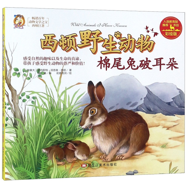 棉尾兔破耳朵(彩繪版)/西頓野生動物