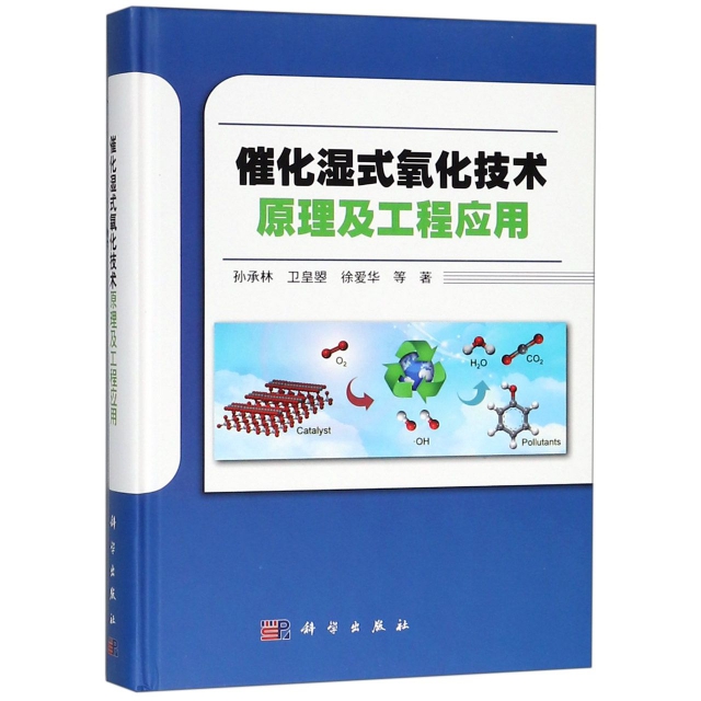催化濕式氧化技術原理及工程應用(精)