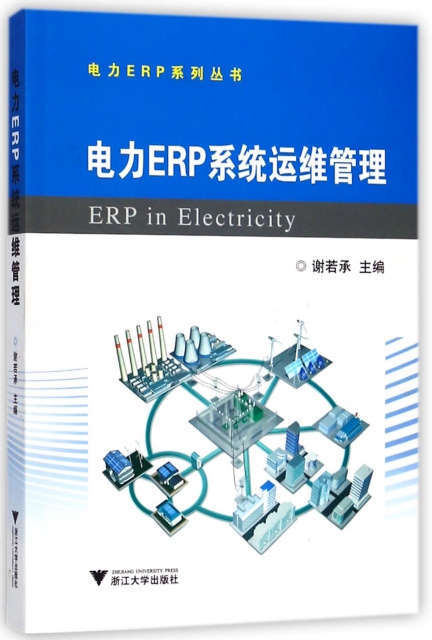 電力ERP繫統運維管理/電力ERP繫列叢書