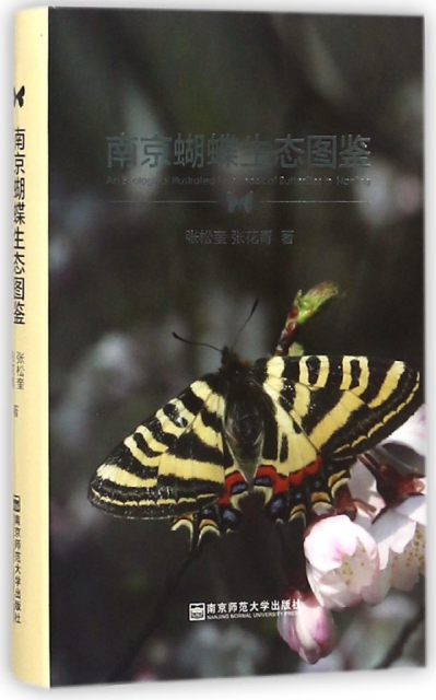 南京蝴蝶生態圖鋻