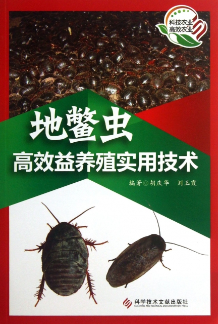 地鱉蟲高效益養殖實用技術