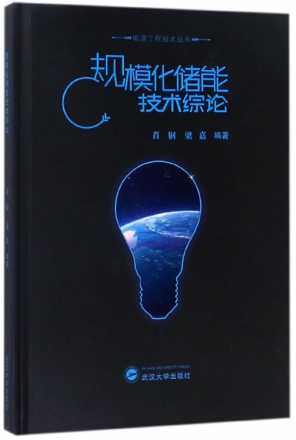 規模化儲能技術綜論(精)/能源工程技術叢書