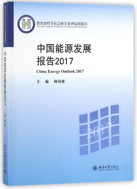 中國能源發展報告