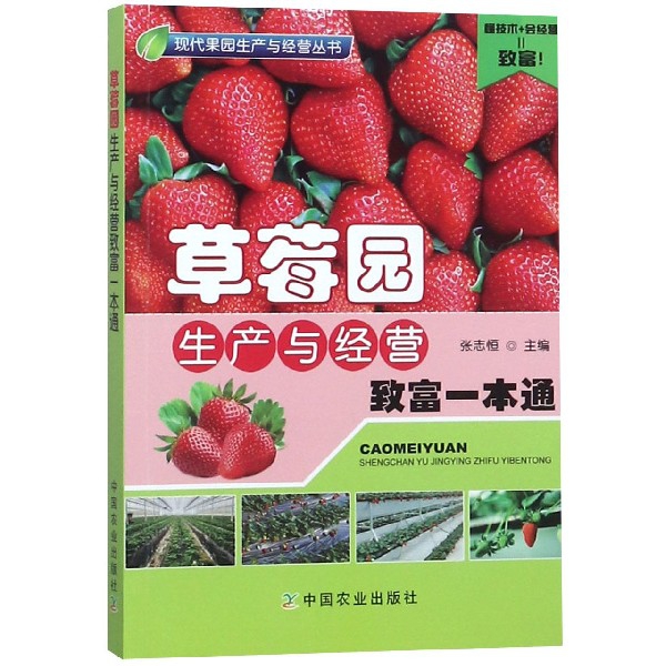 草莓園生產與經營致富
