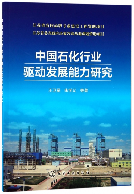 中國石化行業驅動發展能力研究