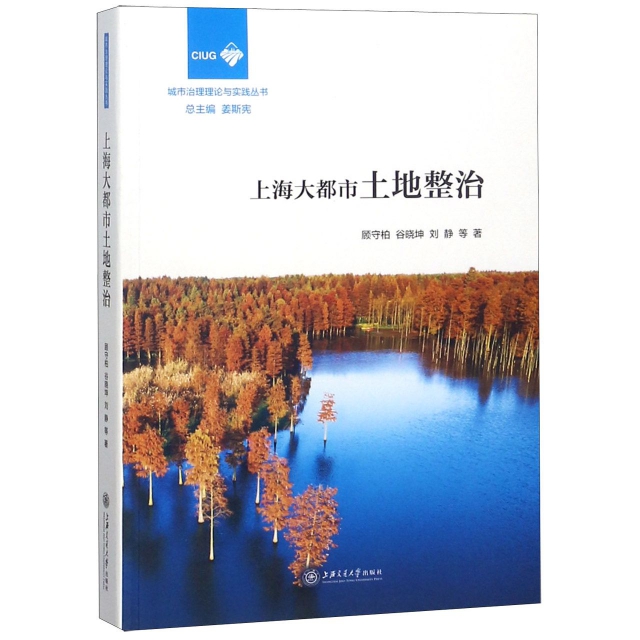 上海大都市土地整治/城市治理理論與實踐叢書