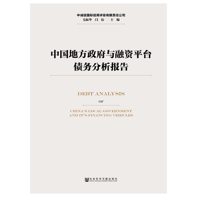 中國地方政府與融資平臺債務分析報告