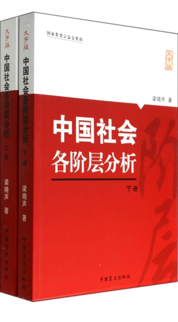 中國社會各階層分析(大字版上下)