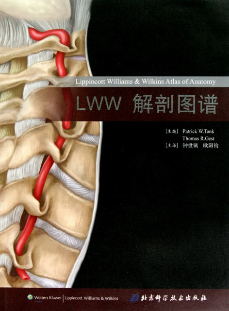 LWW解剖圖譜