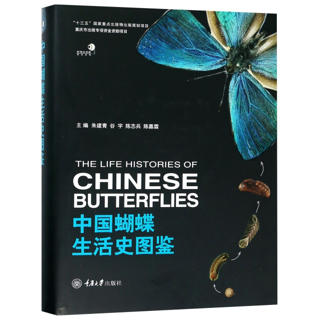 中國蝴蝶生活史圖鋻(精)/圖鋻繫列/好奇心書繫