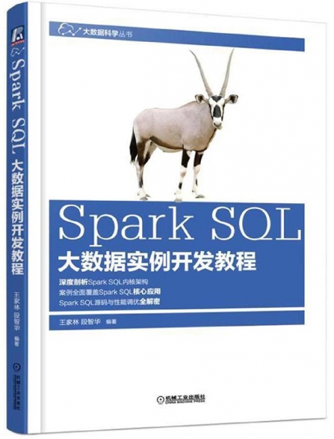 Spark SQL大數據實例開發教程/大數據科學叢書