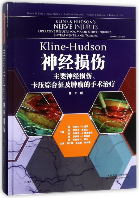 Kline-Hudson神經損傷(主要神經損傷卡壓綜合征及腫瘤的手術治療第2版)(精)