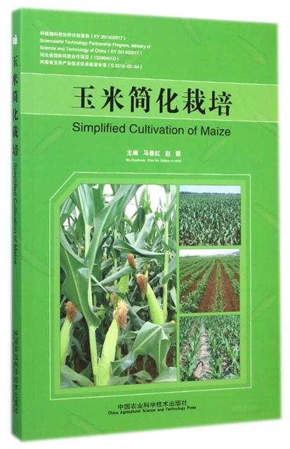 玉米簡化栽培