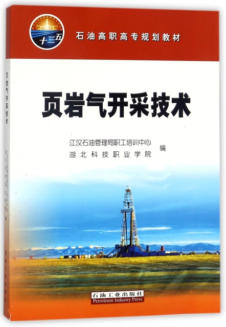 頁岩氣開采技術(石油高職高專規劃教材)