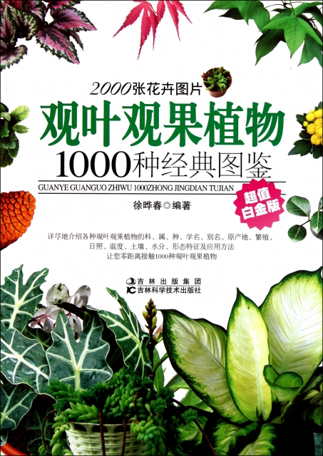 觀葉觀果植物1000