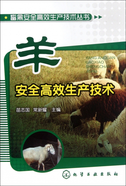 羊安全高效生產技術/畜禽安全高效生產技術叢書