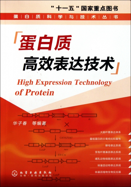 蛋白質高效表達技術/蛋白質科學與技術叢書