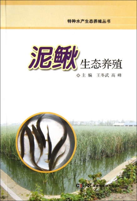 泥鰍生態養殖/特種水產生態養殖叢書