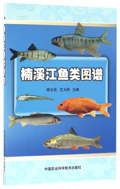 楠溪江魚類圖譜