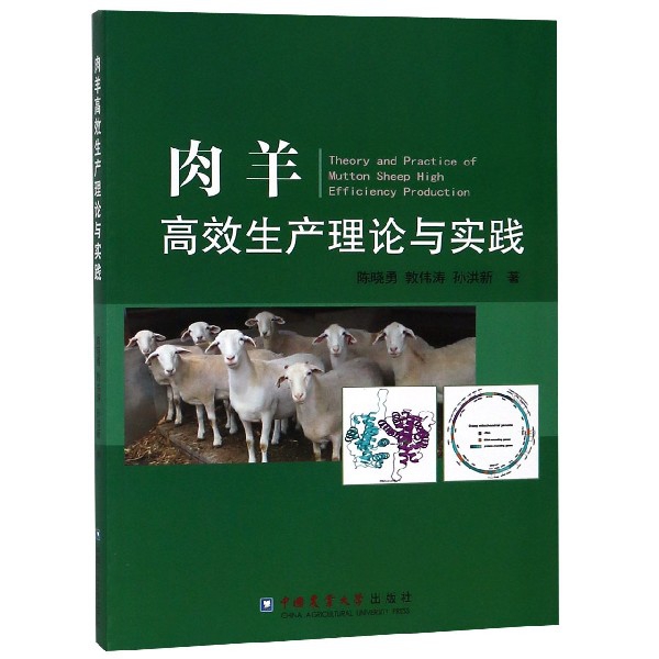 肉羊高效生產理論與實踐