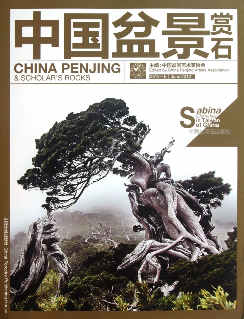 中國盆景賞石(201