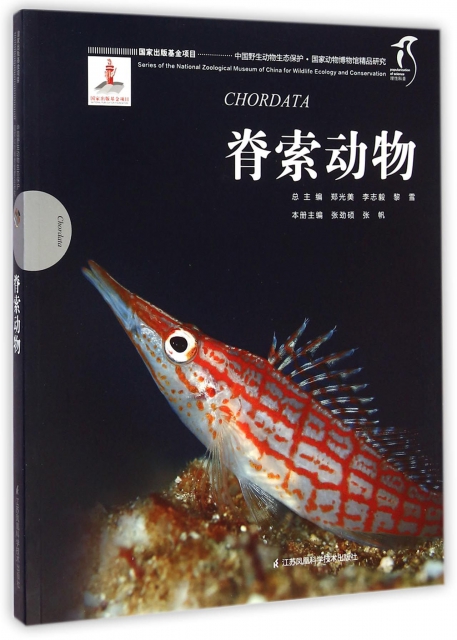 脊索動物/中國野生動物生態保護國家動物博物館精品研究
