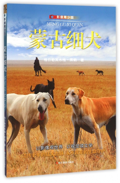 蒙古细犬生存现状图片