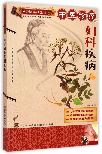 中医诊疗妇科疾病/中医实用诊疗大全丛书